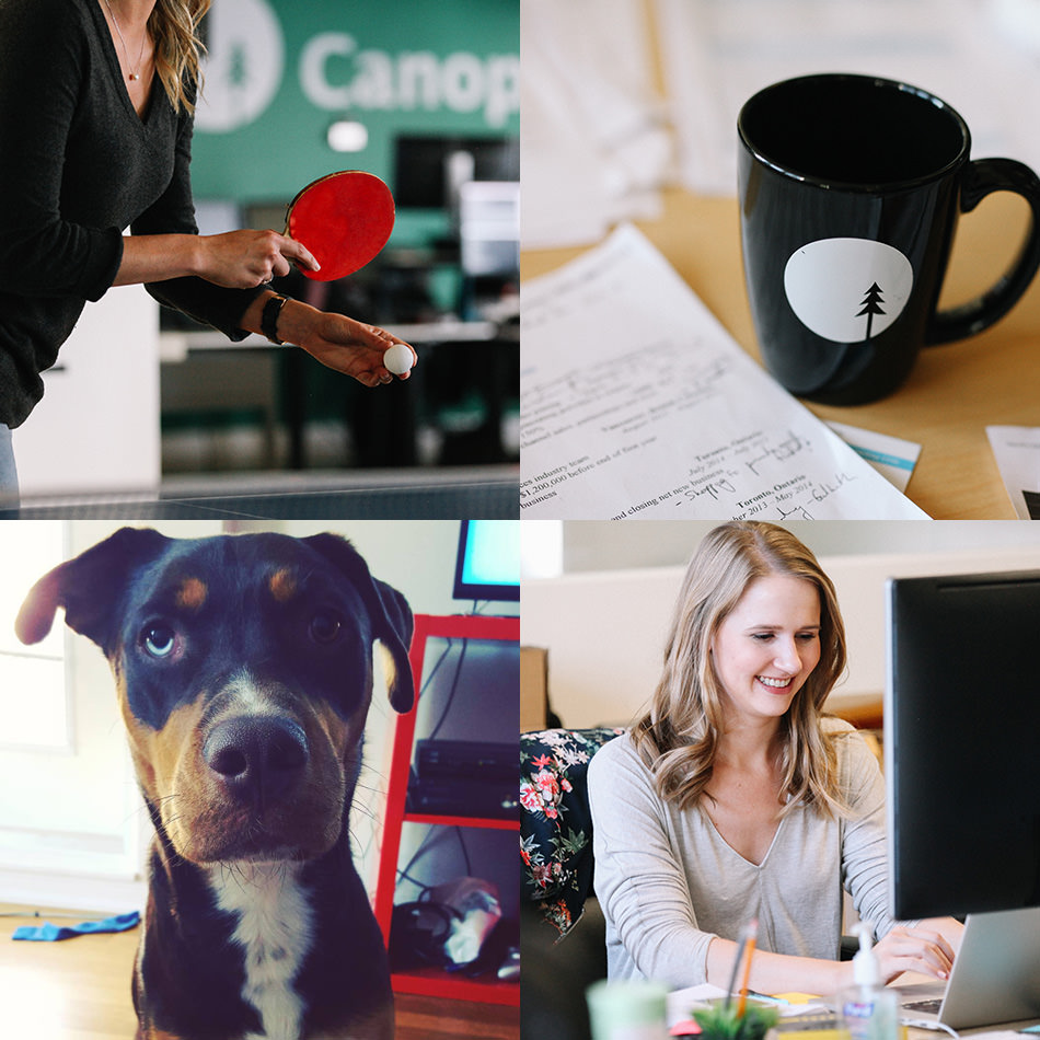 Canopy Labs Team Members