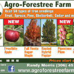 Agro-Forestree Farm 1.8 Ad 2026.indd