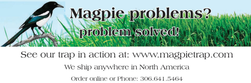 31380 - Magpie Traps - ad_X1a