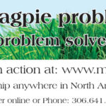 31380 - Magpie Traps - ad_X1a