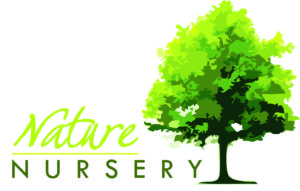 Nature Nursery