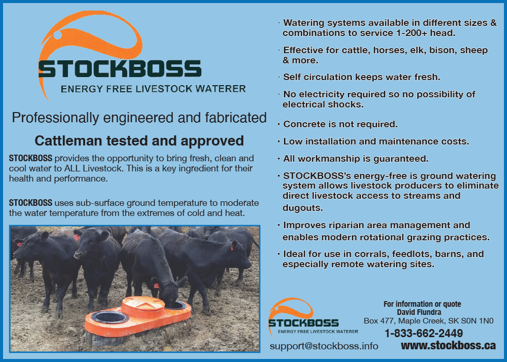 STOCKBOSS 1.2 2026