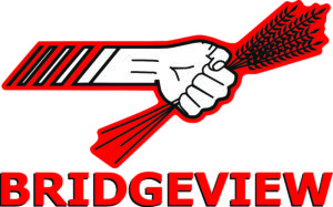 Bridgeview Fluid Solutions
