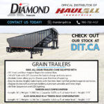 Diamond Internatioanl 3.4 pg 2024