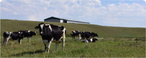 Save 15% on Heavy-Duty Grain Hopper Cones This Month